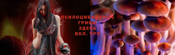мет Балахна