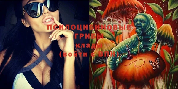 мяу мяу мука Баксан
